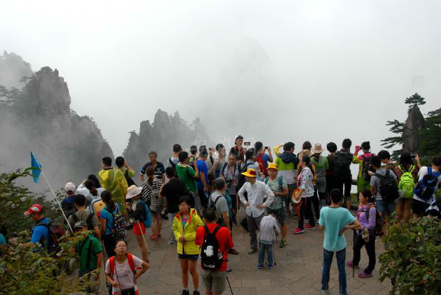 请问青岛到安阳大巴一天有几班，几点，多少钱